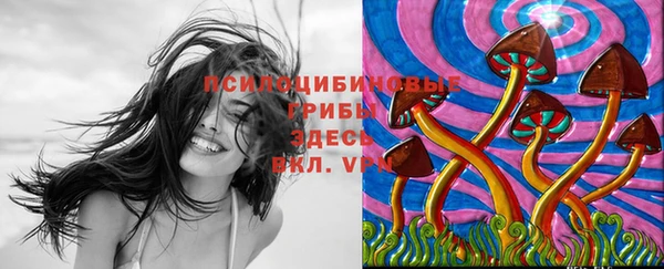 соль ск Магадан